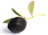 Pate de Aceitunas Negras
