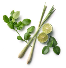 Citronella