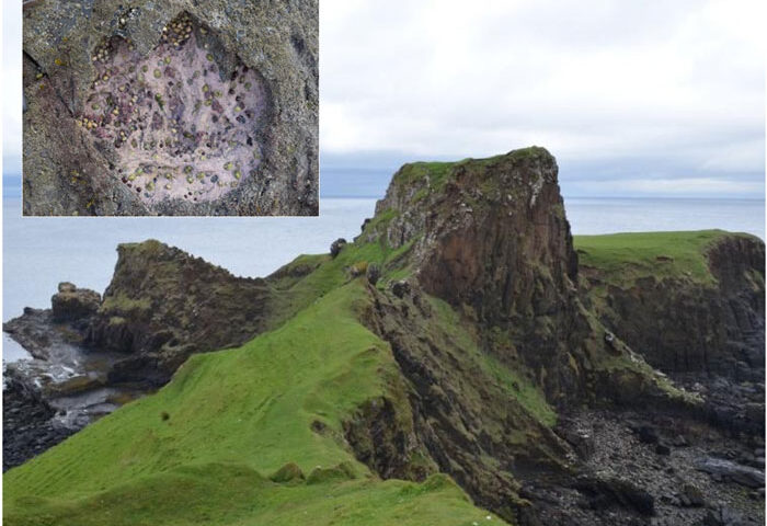 Encuentran huellas de dinosaurios del Jurásico Medio en Escocia