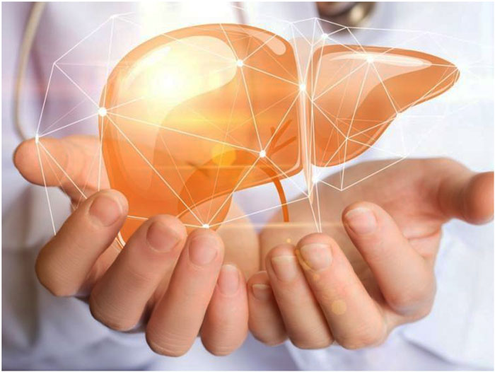 Qué comer para tener un hígado saludable