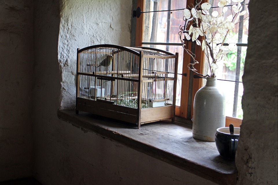 ¿Dónde hay que colocar la jaula del pájaro?