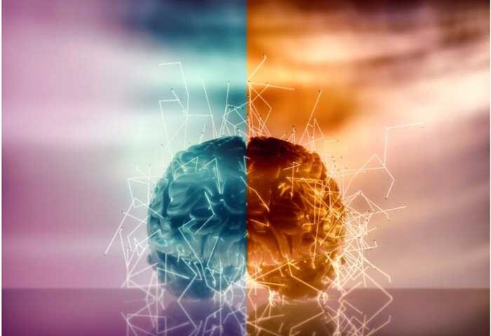 ¿Cuál es la diferencia entre el lado derecho y el izquierdo del cerebro?
