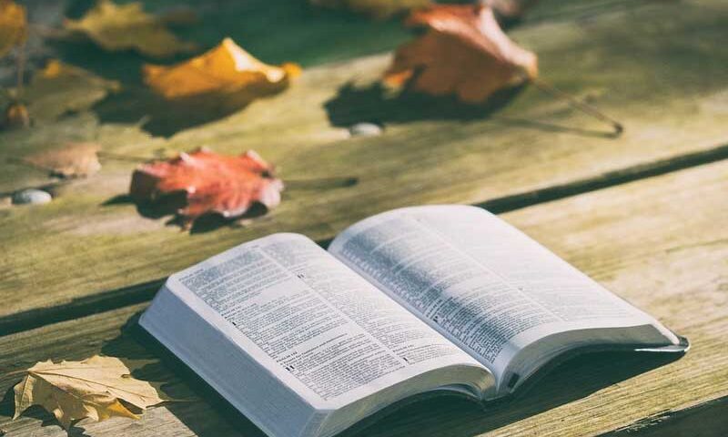 Ser como un libro abierto
