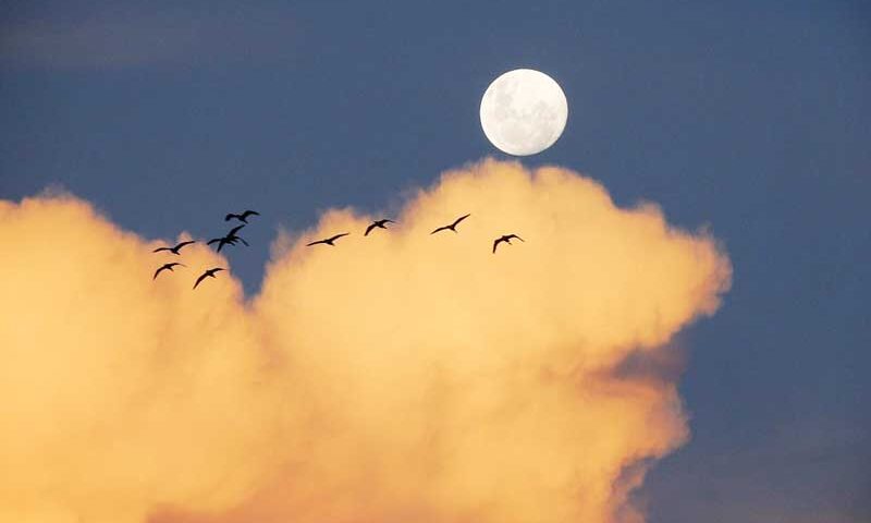 ¿Por qué a veces se puede ver la Luna durante el día?