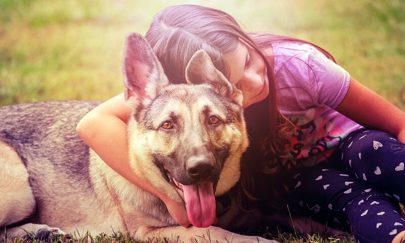 Beneficios de que los niños crezcan con mascotas