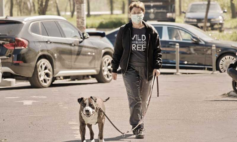 Mascotas y coronavirus: cómo cuidar a los perros y gatos durante la cuarentena