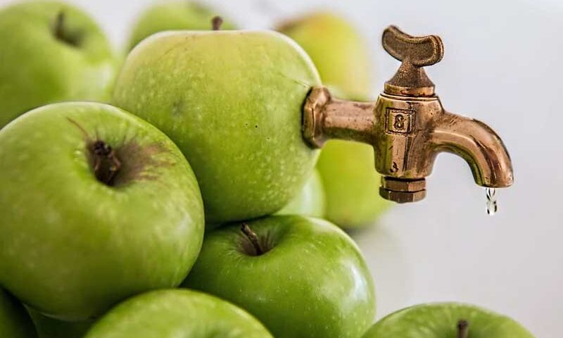 ¿Fruta entera o en jugo natural? ¡Descubre qué es mejor!