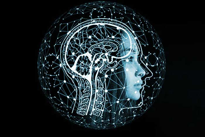 Sistema límbico: la parte emocional del cerebro