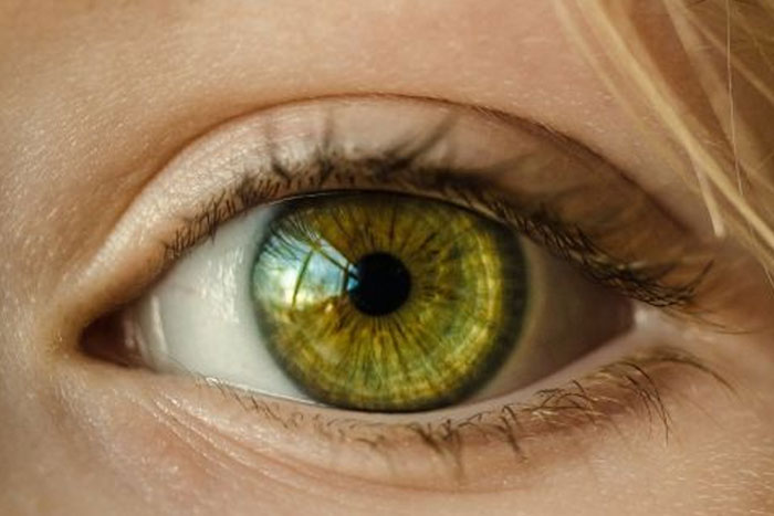 Presentan una droga que frena la degeneración macular en menos tiempo