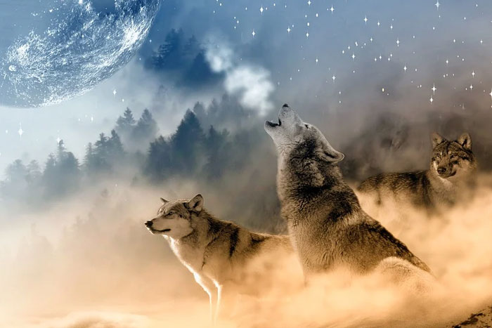 Quién con lobos anda, a aullar se enseña – De Todo Un Poco