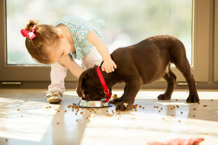 Cómo enseñar a los niños a cuidar de las mascotas