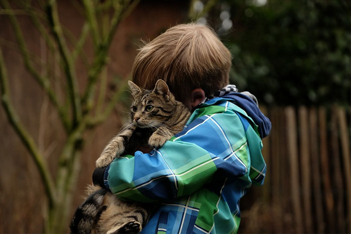 Los gatos ayudan a disminuir la ansiedad en los niños con autismo