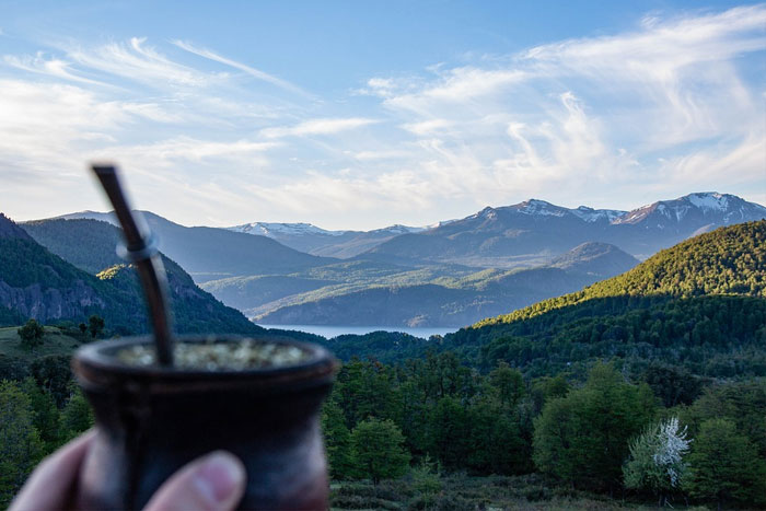 Tomar mate previene el envejecimiento prematuro y alarga la vida