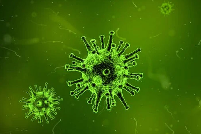 ¿Cuál es la mejor manera de prevenir la gripe?