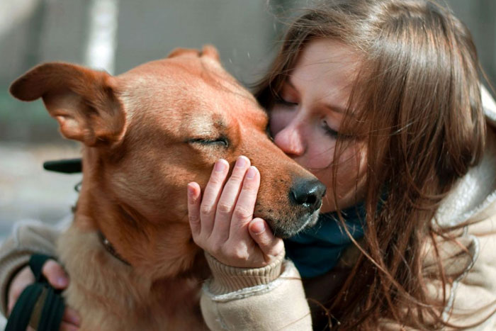 ¿Es sana, la relación que tienes con tu perro?