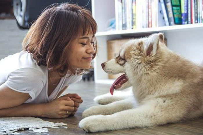 Cómo afecta tu personalidad al comportamiento de tu perro
