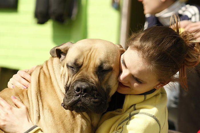 Entérate de cómo afecta tu personalidad al comportamiento de tu perro