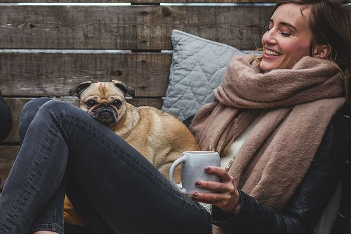 10 cosas que NO debes hacer a tu perro