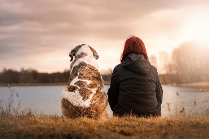 ¿Me puede un perro ayudar frente a la depresión?