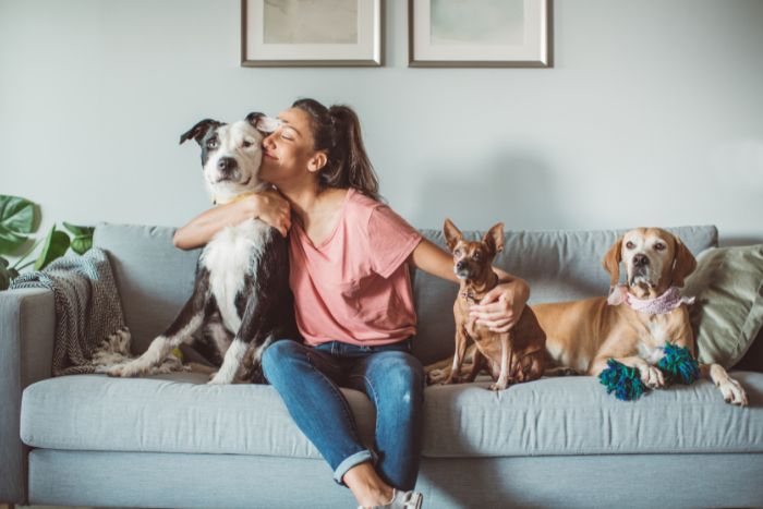 ¿Pueden las mascotas sustituir las relaciones humanas?