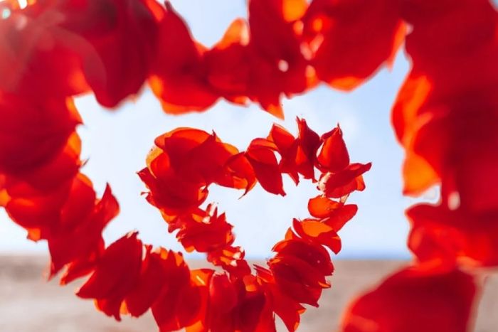 Las 9 diferencias entre lujuria y amor