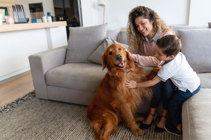 La ciencia detrás de la felicidad canina: los momentos perfectos para acariciar a tu perro