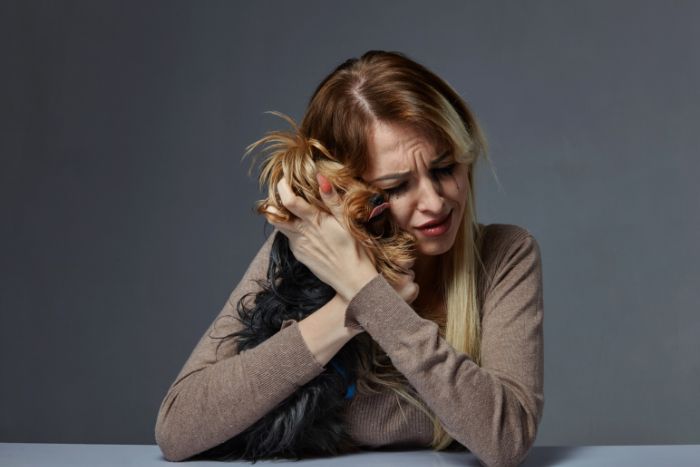¿Sabes que tu estrés también le afecta al perro?