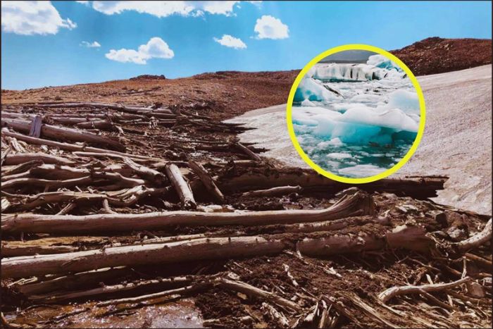 Un bosque congelado durante 6.000 años reaparece en Estados Unidos: el motivo de su resurgimiento alarma a los científicos