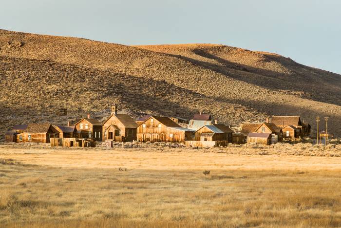 Bodie