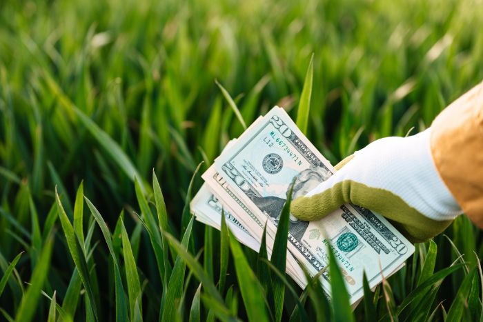 Uno que madrugó, un dólar se encontró. Pero más madrugó, aquel que lo perdió Uno que madrugó, un dólar se encontró. Pero más madrugó, aquel que lo perdió