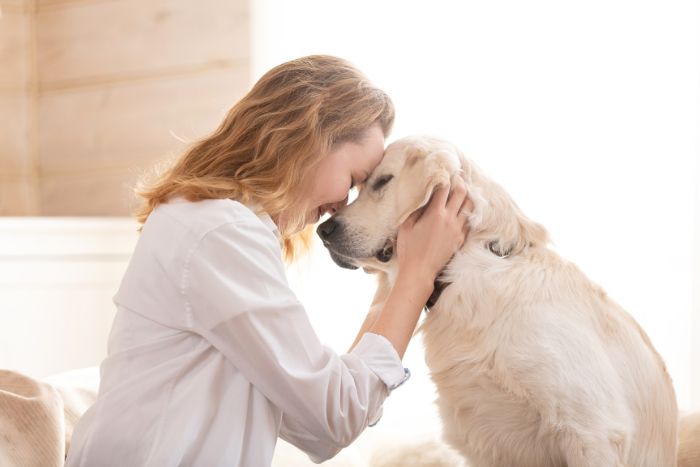 5 tips para que tu amigo perruno viva más años