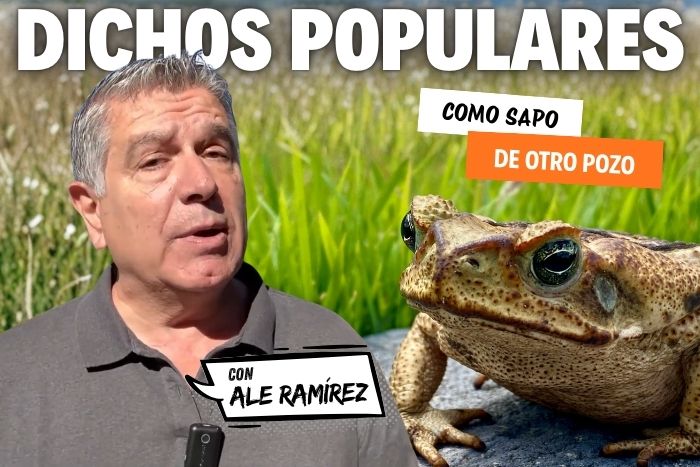 Dichos Populares: «Como sapo de otro pozo»